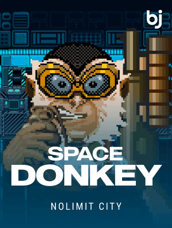 Space Donkeypng game cover